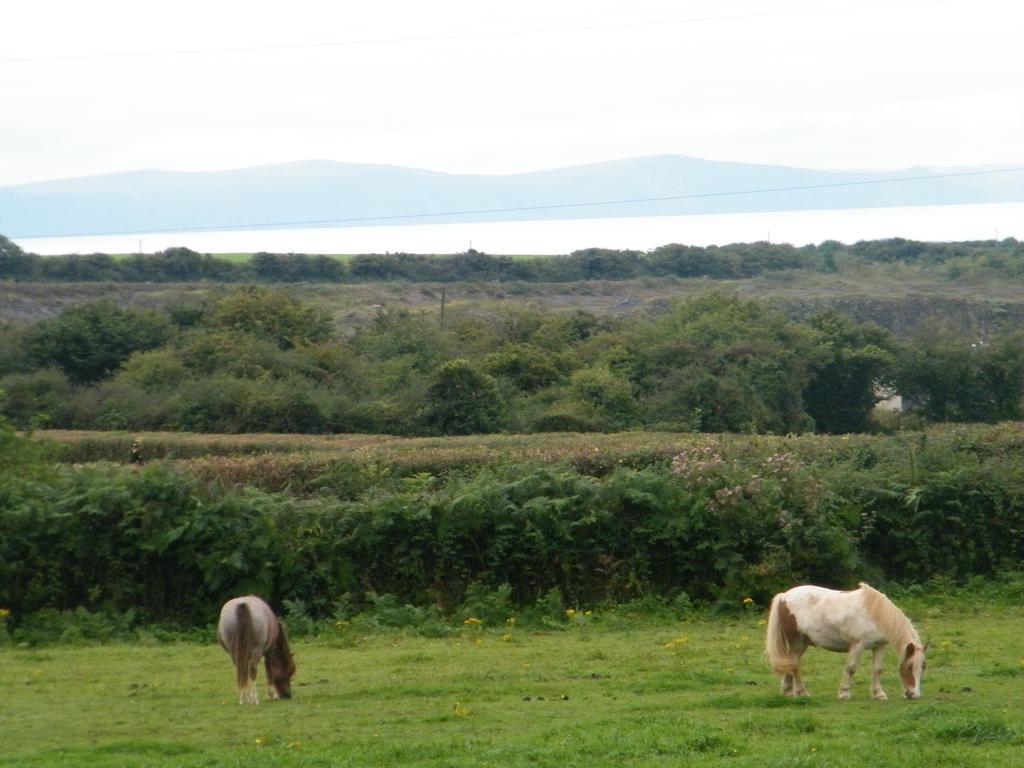 Ballas Farm Country Guest House Bridgend  Kültér fotó